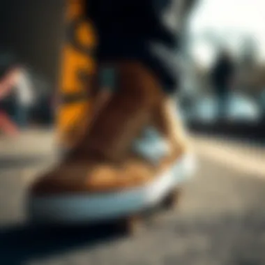 A Comprehensive Guide to the Best Skateboard Shoes Introduction A Comprehensive Guide to the Best Skateboard Shoes Introduction