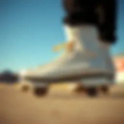 Comprehensive Exploration of Vanilla Junior Tuxedo Skates Introduction