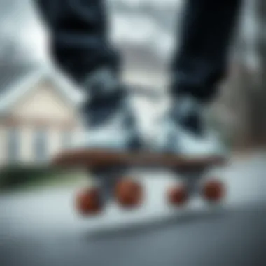 Comprehensive Exploration of Vanilla Junior Tuxedo Skates Summary Comprehensive Exploration of Vanilla Junior Tuxedo Skates Summary