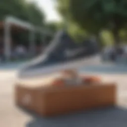 Stylish Nike Janoski shoes displayed on a skatepark surface