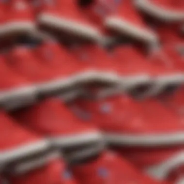 Collection of Red Filas Styles A collection of various styles of red Filas, symbolizing their influence in skate culture.