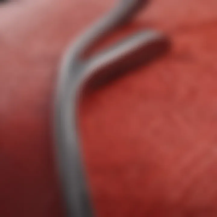 A close-up shot of red Filas highlighting their texture and craftsmanship.