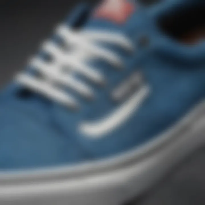 Close-up of Vans Rowan Blue material texture