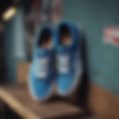 Vans Rowan Blue and Its Role in Skate Culture Group of Vans Rowan Blue sneakers representing skate culture
