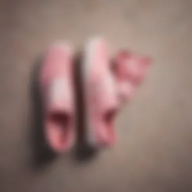 Pink Vans on a Skateboard A pair of pink Vans skate shoes on a skateboard