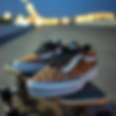 Vans Old Skool Leopard Print shoes displayed on a skateboard