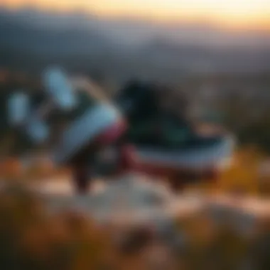 Exploring the Vans UltraRange EXO: A Comprehensive Guide Summary Exploring the Vans UltraRange EXO: A Comprehensive Guide Summary