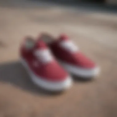 A collection of skateboarding apparel paired with Vans Authentic Maroon