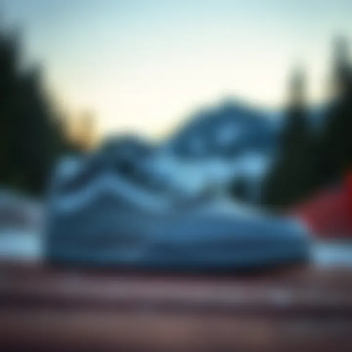 Exploring Vans Snow Skate Shoes: A Comprehensive Overview Summary