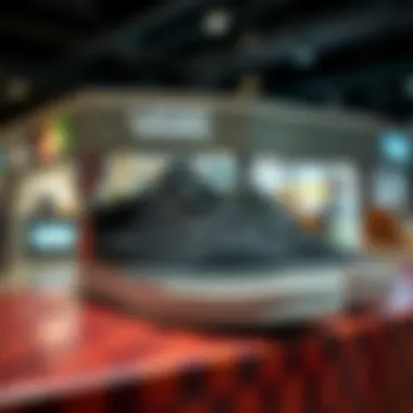 Creative Display of Iconic Vans Styles Stylish Vans shoes displayed on a creative setup