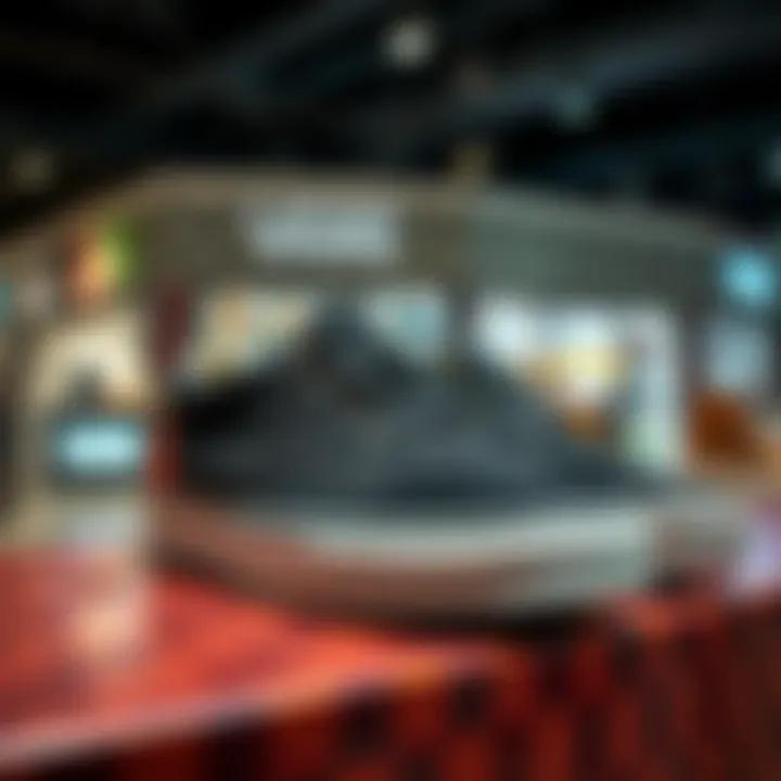 Creative Display of Iconic Vans Styles Stylish Vans shoes displayed on a creative setup
