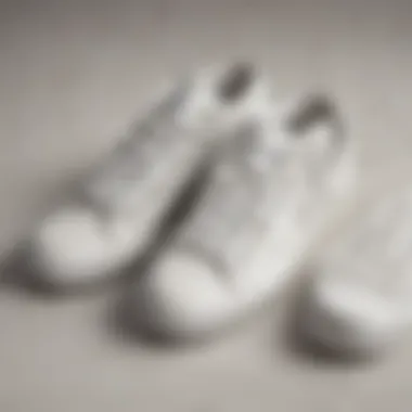 Variety of White Laced Shoes in Skate Culture A collection of various styles of white laced shoes popular in skate culture