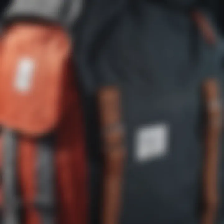 Close-up of the Herschel Seventeen Pack highlighting its design and details