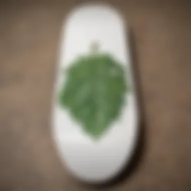 A skateboard deck adorned with grape leaf designs, merging art and culture.