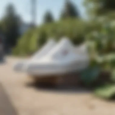 True White Vans on a skateboarding ramp, showcasing their iconic style.