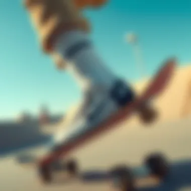 The Role of Nike Everyday Socks in Skateboarding Culture Summary The Role of Nike Everyday Socks in Skateboarding Culture Summary