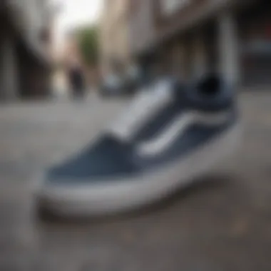 Vans Old Skool Dark Aura worn in a skateboarding setting