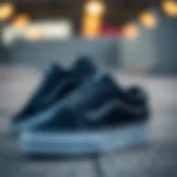 Stylish Vans Pro skate shoes on a concrete surface