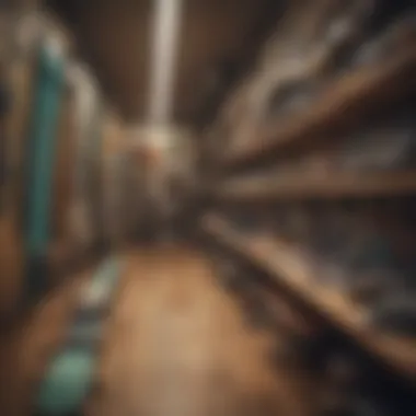 A diverse range of long boards displayed in a local skate shop.